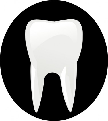 Tooth Molar clip art Vector clip art - Free vector for free download