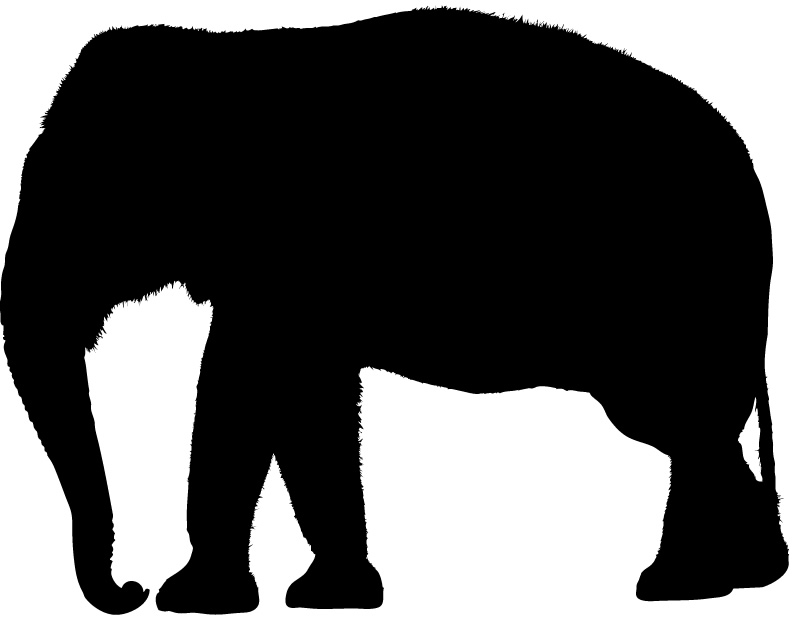 Indian Elephant Silhouette Images & Pictures - Becuo