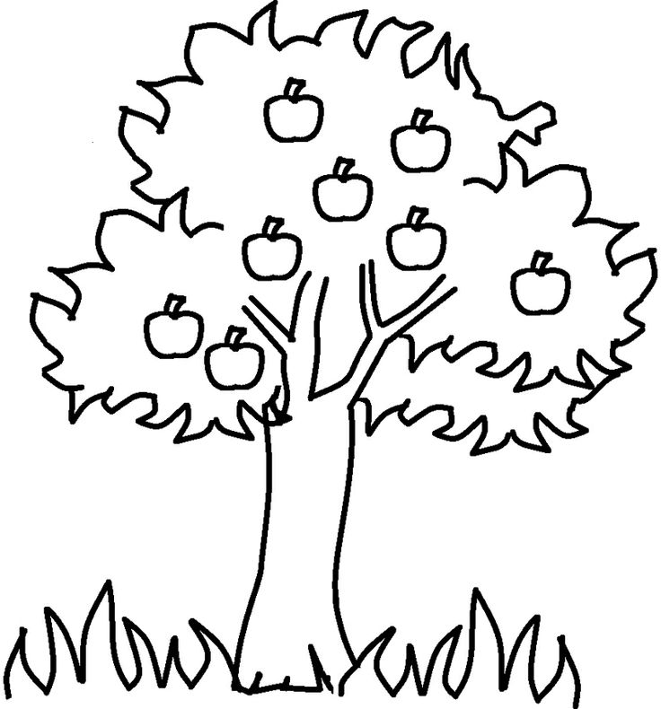 apple-tree-pictures-free-cliparts-co
