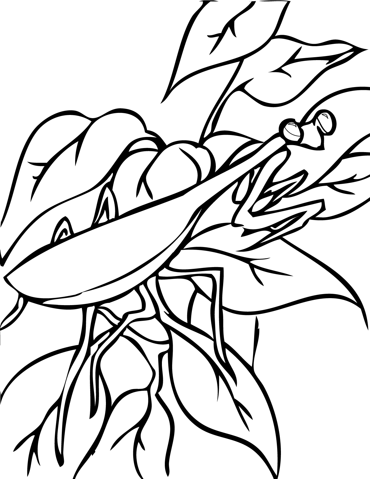 mantis coloring pages - photo #36