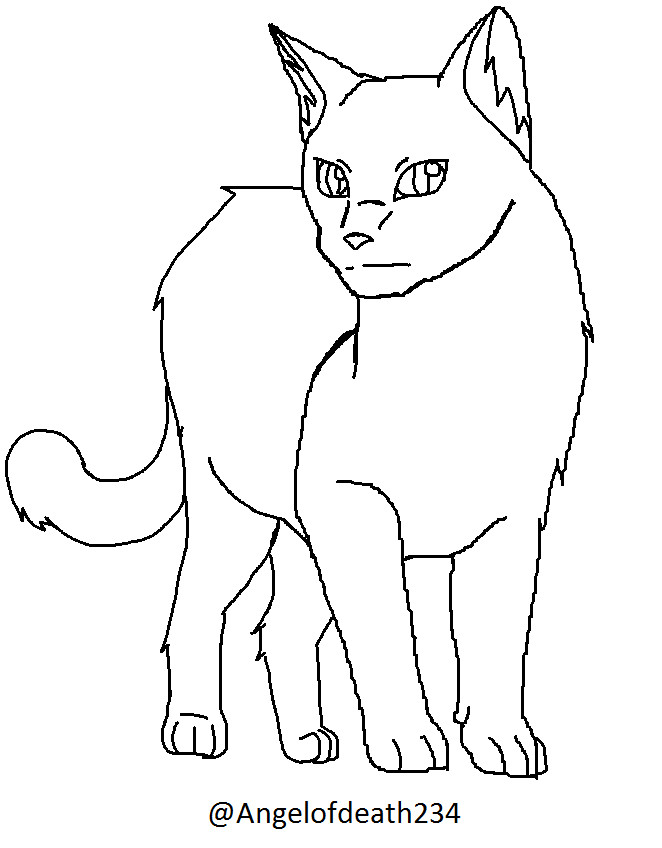 Adult Cat Template by angelofdeath234 on DeviantArt