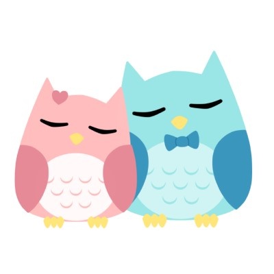 cute owls on Pinterest