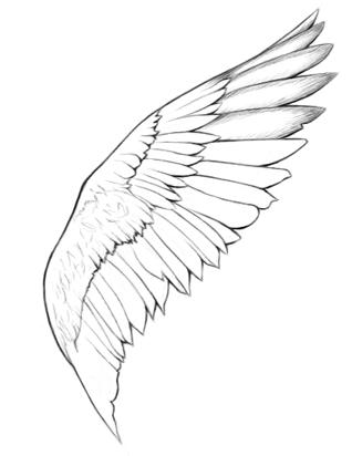 How to draw angel wings | Art | Pinterest