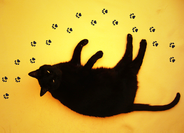 Wall Stickers – Cat Paw Prints Wall Stickers, Paw Sticker Decals ...
