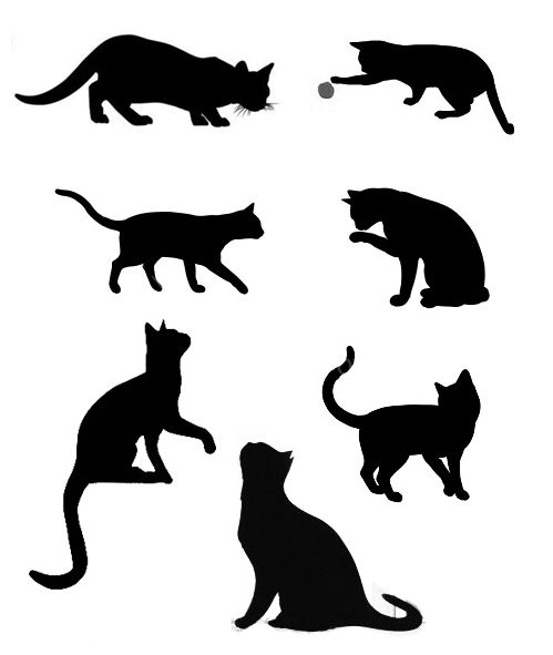 Any of these <3 #cat #silhouette #tattoo | Ink | Pinterest