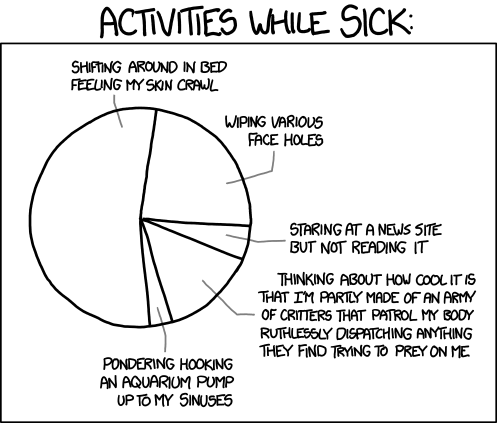 xkcd: Sick Day