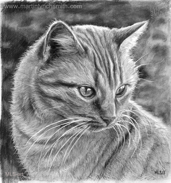 Cat Drawings - Cliparts.co