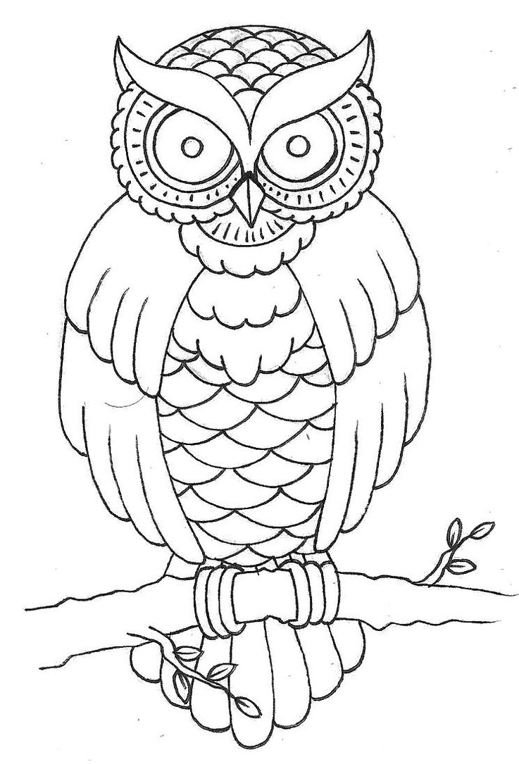Traditional owl design WIP by Patsurikku on DeviantArt