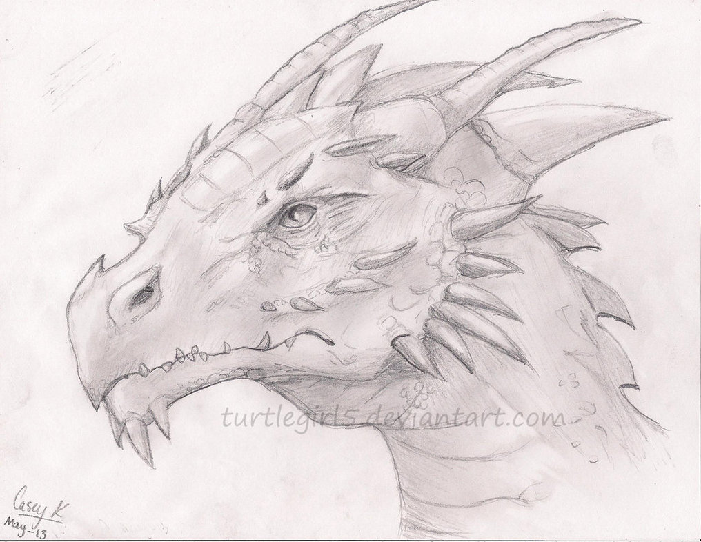 Dragon Drawing by Turtlegirl5 on DeviantArt