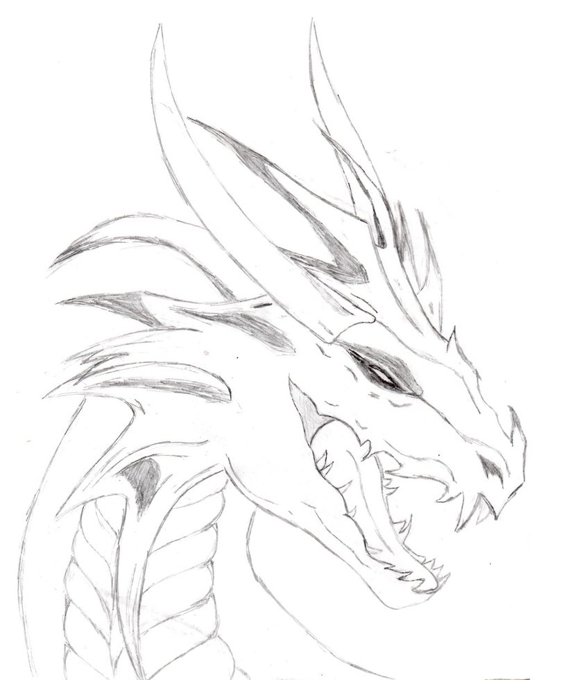 Dragon drawing by Phoenix-FireMage on DeviantArt