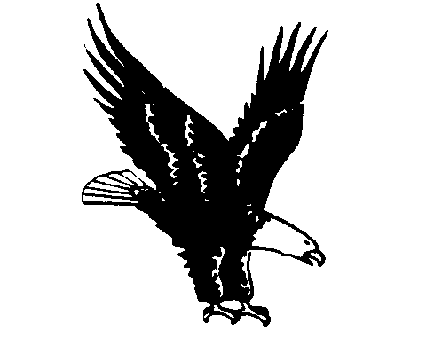 Eagle Sketches - ClipArt Best