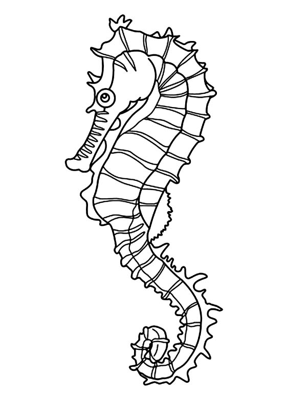 seaweed pictures Colouring Pages (page 3)
