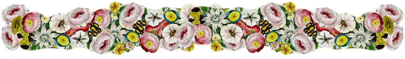 Free digital vintage flower frame and border png - Blumenrahmen ...
