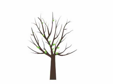 growing apple tree animation - YouTube