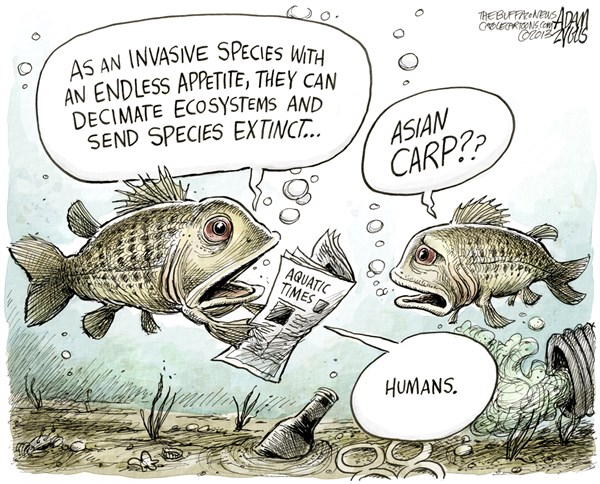 Image result for invasive species cartoon
