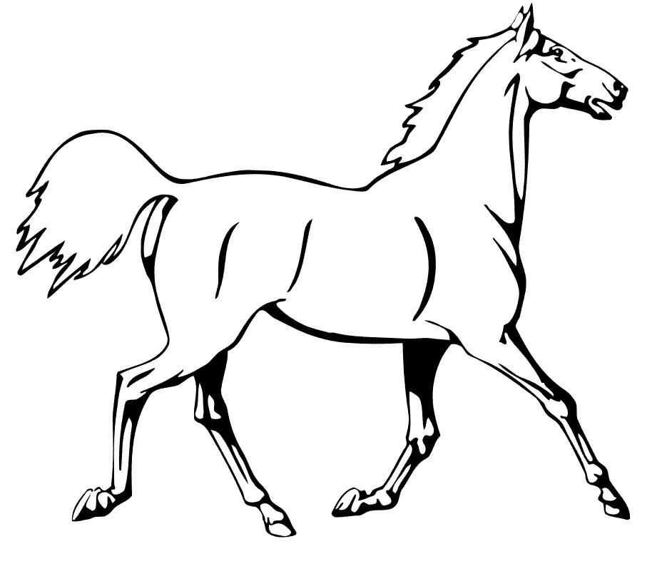 c drawings horse Colouring Pages (page 3)