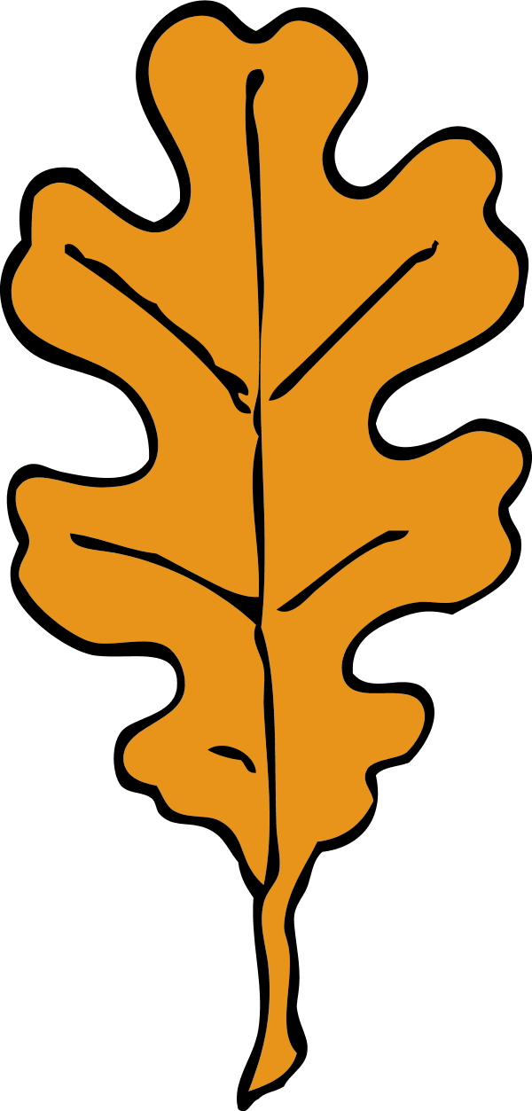oak leaf - vector Clip Art