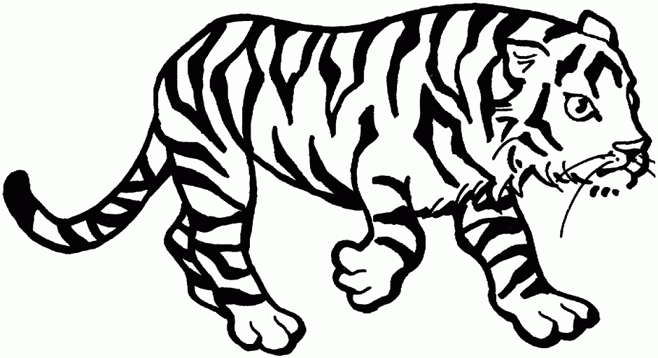 white tiger clip art free - photo #43