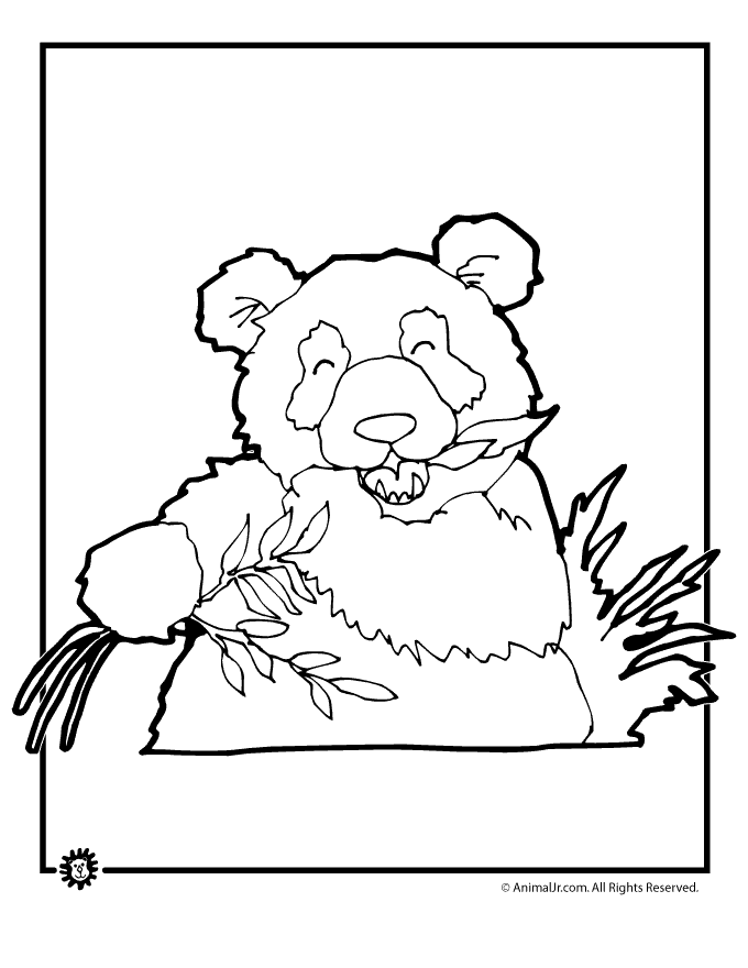 Baby Panda Bears Coloring Pages Tattoo