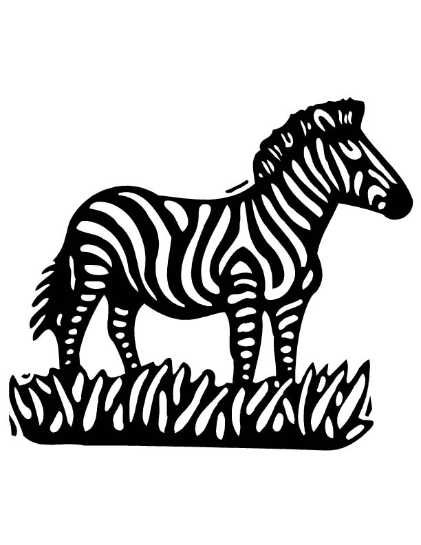 Zebra Line Drawing