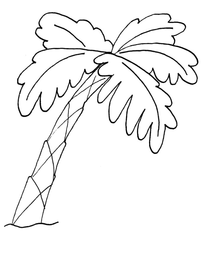 toe tree Colouring Pages