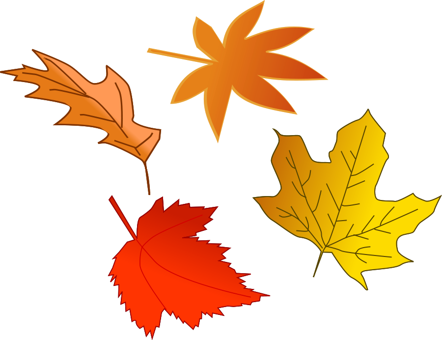 Birch leafs Clipart, vector clip art online, royalty free design ...