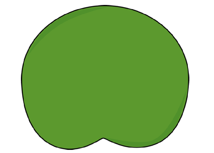 Lily Pad Template - ClipArt Best