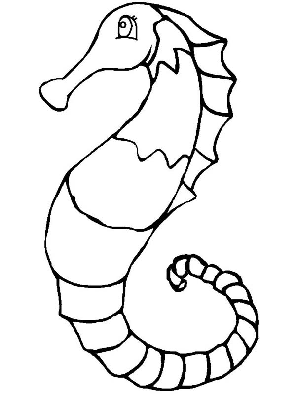A n Artistic Drawing of Seahorse Coloring Page | Kids Play Color