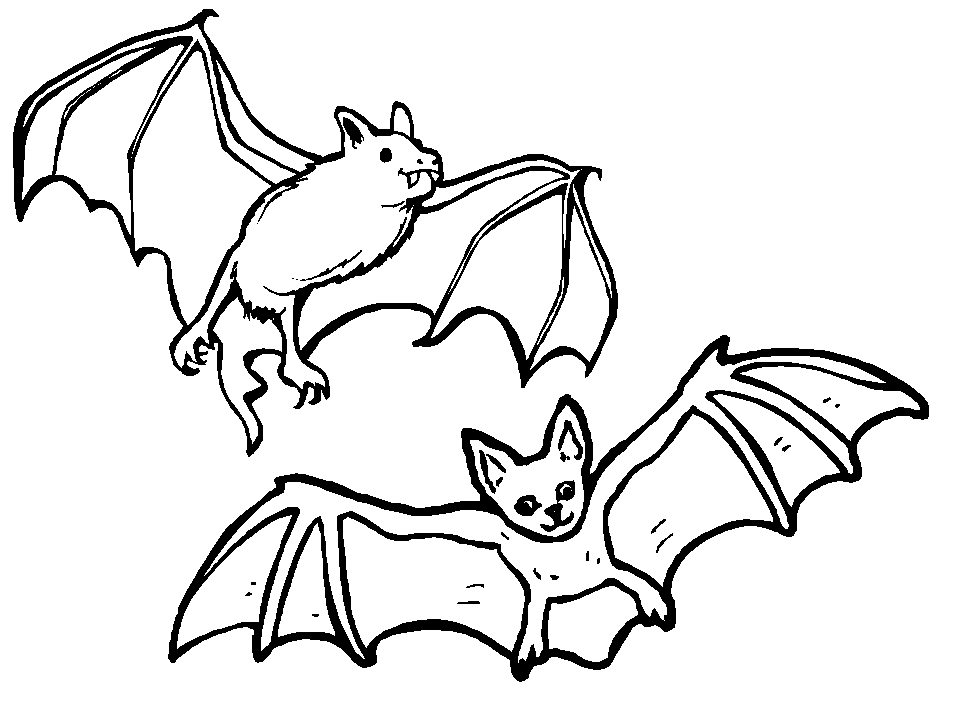 Halloween Bats Coloring Pages | lol-