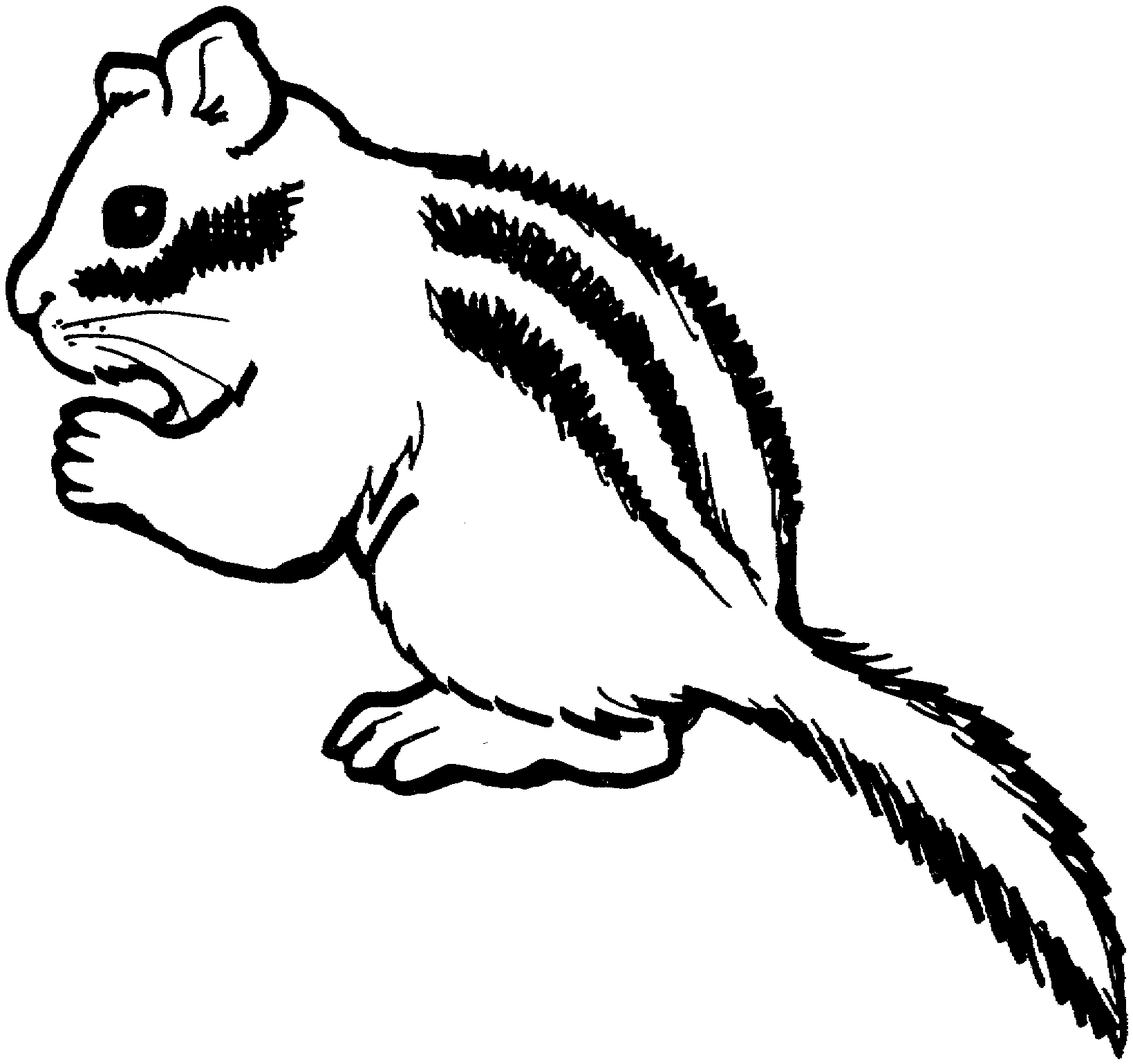 Chipmunk Clipart Black And White | Clipart Panda - Free Clipart Images