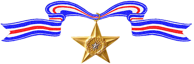 Awards of the Silver Star For Gallantry in Action - Home Page