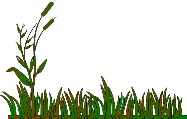 Cattails Outline Green/brown Clip Art at Clker.com - vector clip ...