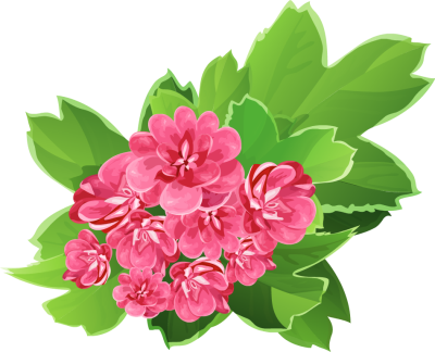 Bouquet of Fresh pink Flowers - Free Clip Arts Online | Fotor ...