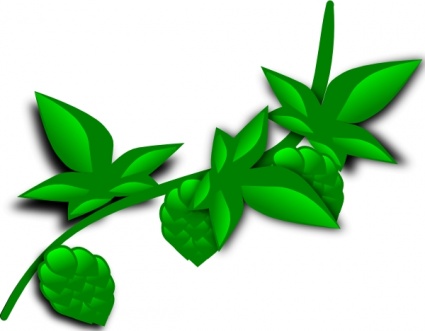Hops Plant clip art - Download free Other vectors