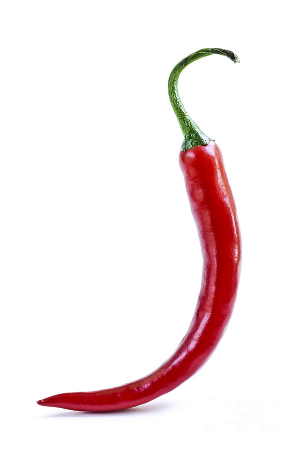 Red Hot Chili Pepper by Elena Elisseeva - Red Hot Chili Pepper ...