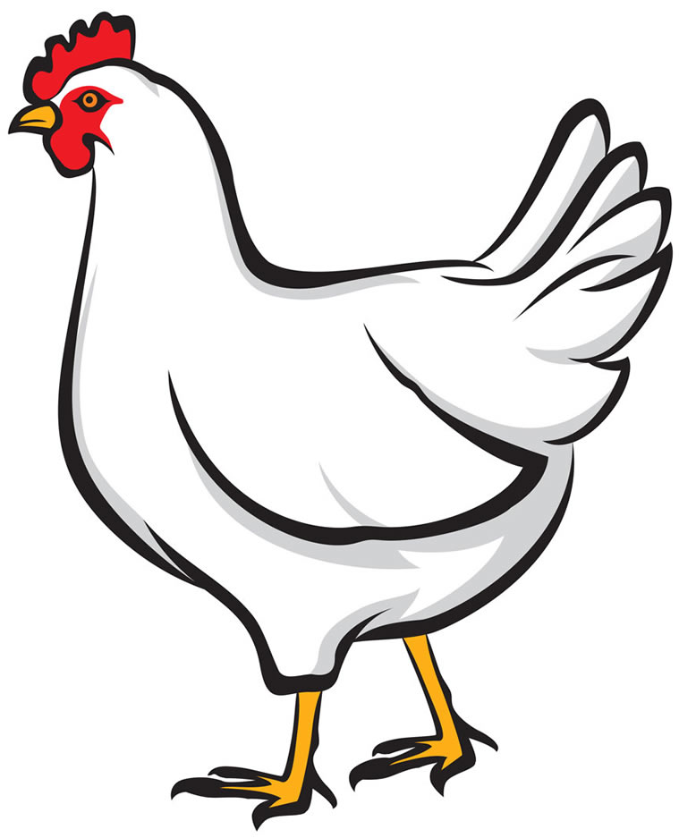 clipart for chicken - photo #21