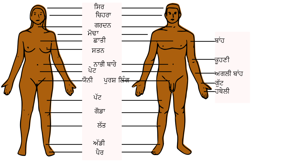 File:Human Body Parts PA.svg - Wikimedia Commons