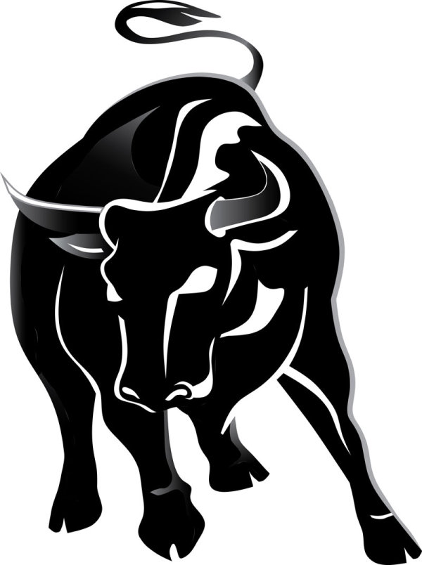 Set of angry bulls design vector 04 - Vector Animal free download