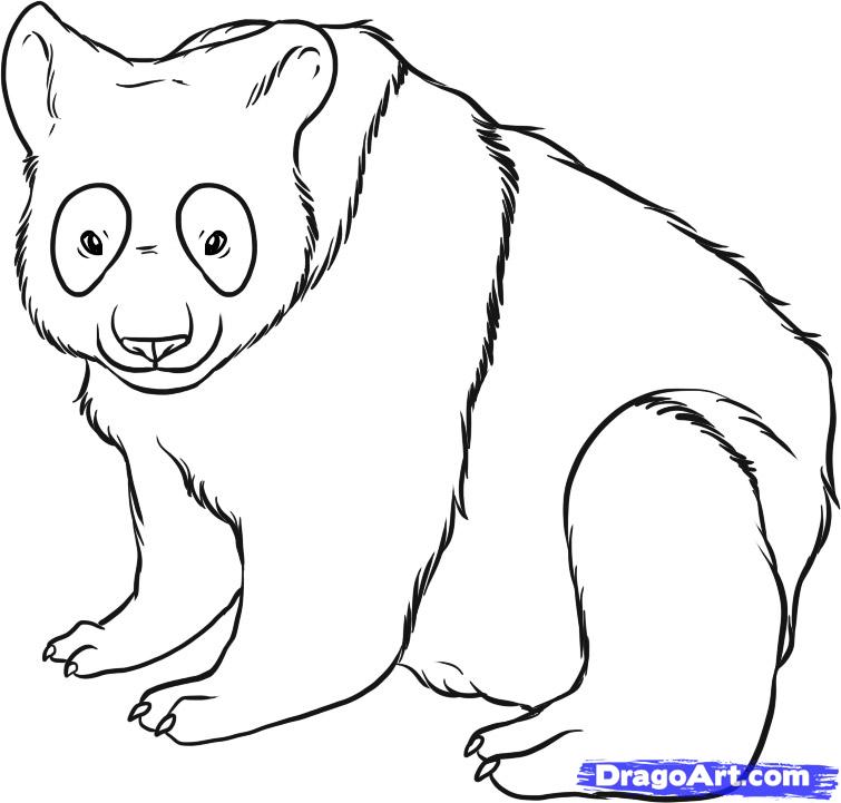 How to Draw a Panda, Step by Step, forest animals, Animals, FREE ...
