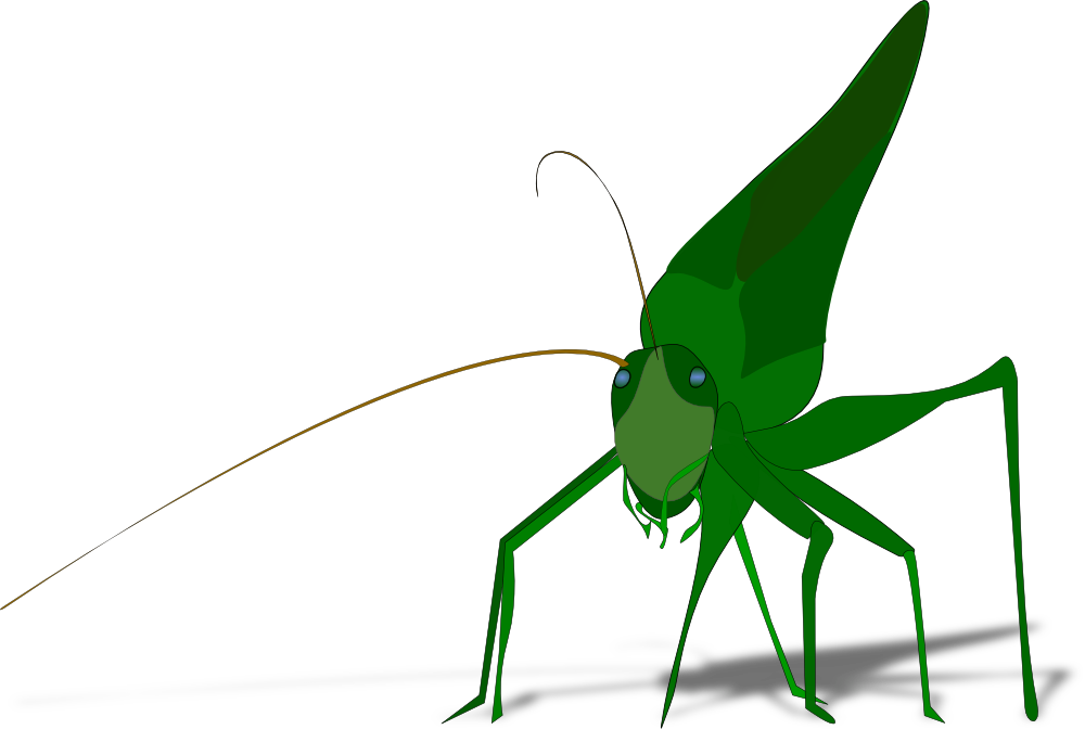 OnlineLabels Clip Art - Grasshopper With Shadow