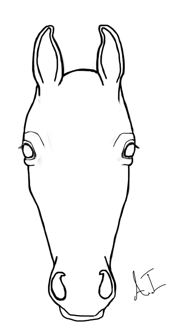 Horse Head Line Drawing