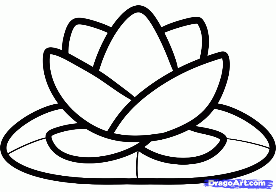 Simple Lotus Flower Drawing Background 1 HD Wallpapers | aduphoto.