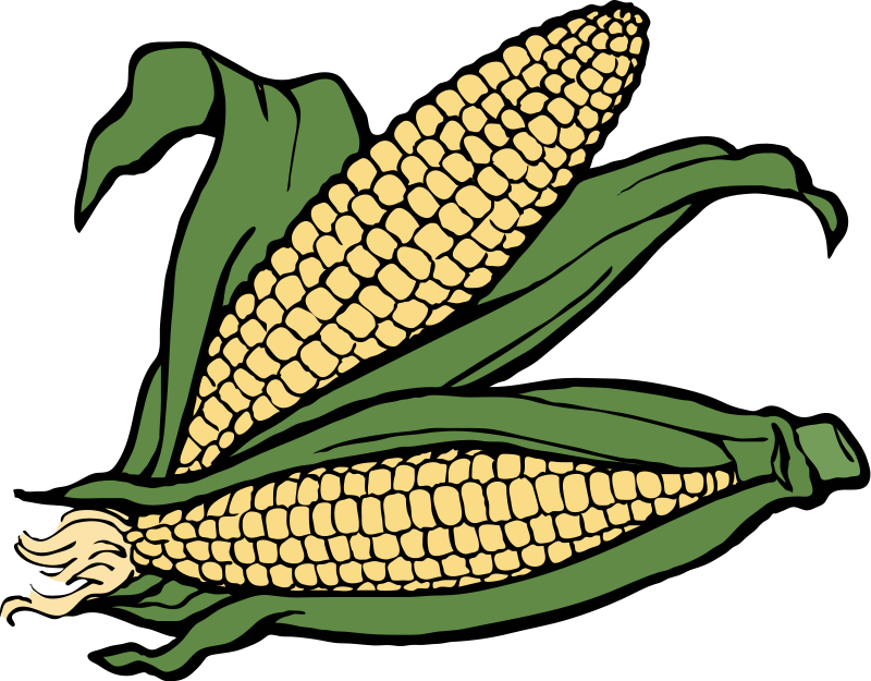 Corn On Cob BW Clip Art Download