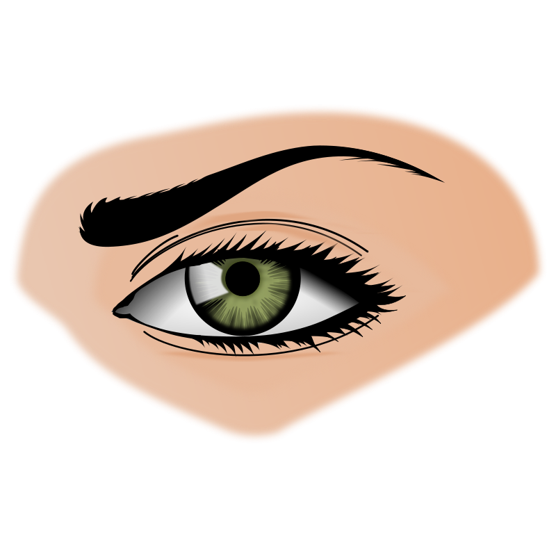 Eyes On The Nose Clip Art Download