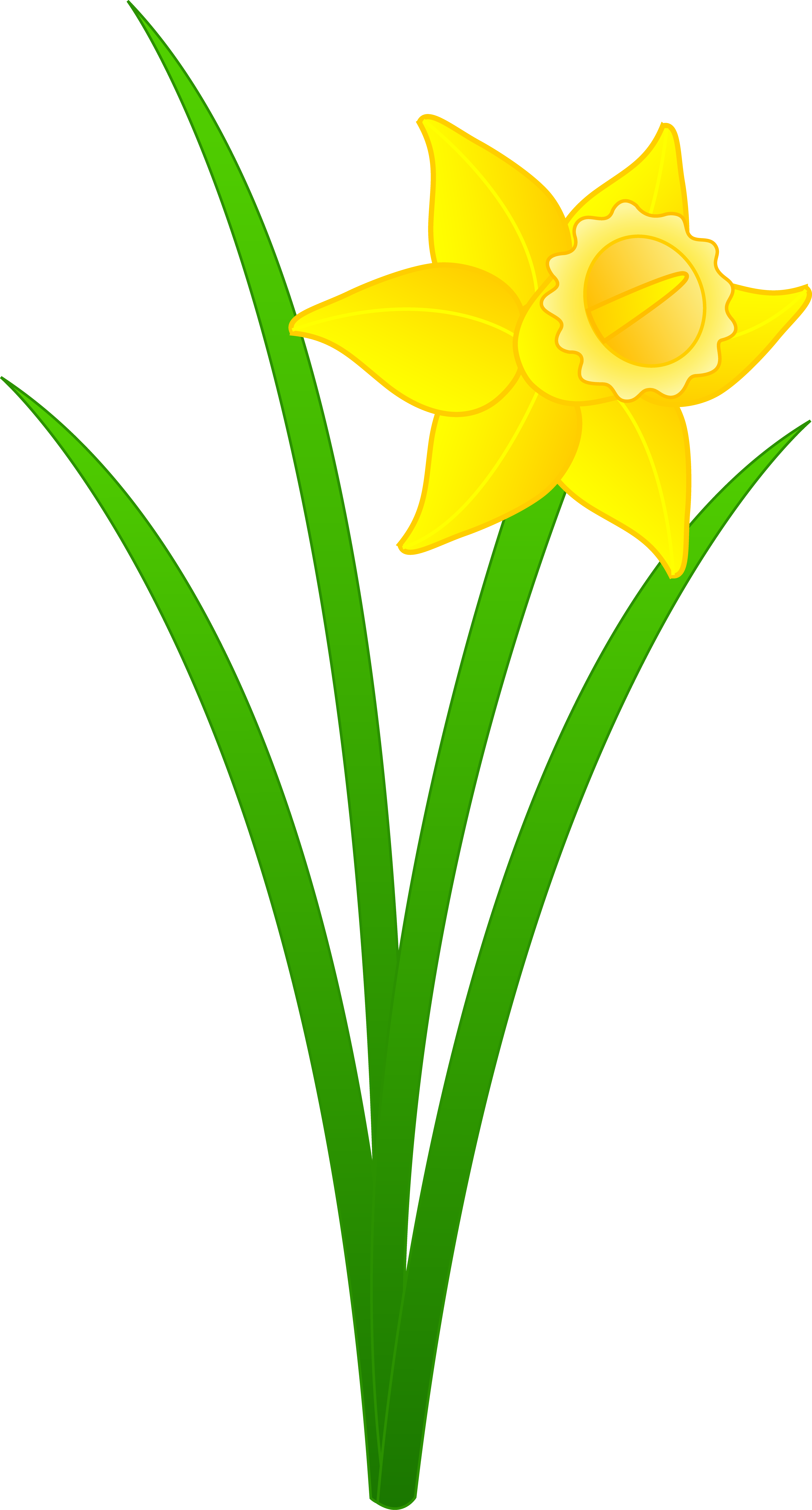 Single Golden Daffodil - Free Clip Art