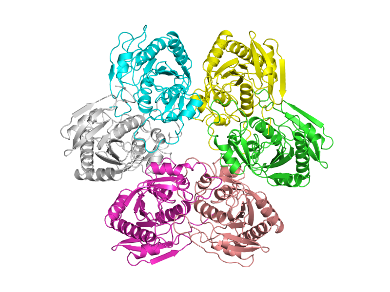 PDBeView - PDB entry 1k3f