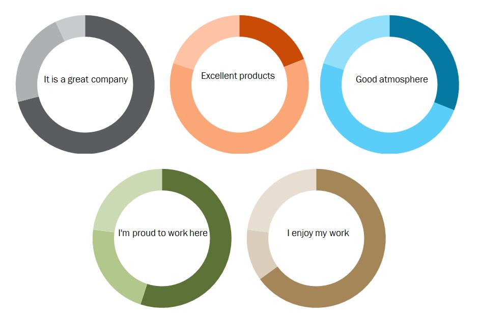 Automated Data Visualisation using Doughnut chart with Pie ...