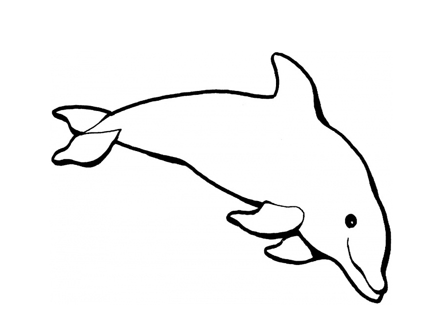 Printable Dolphin Coloring Pages | Coloring Me