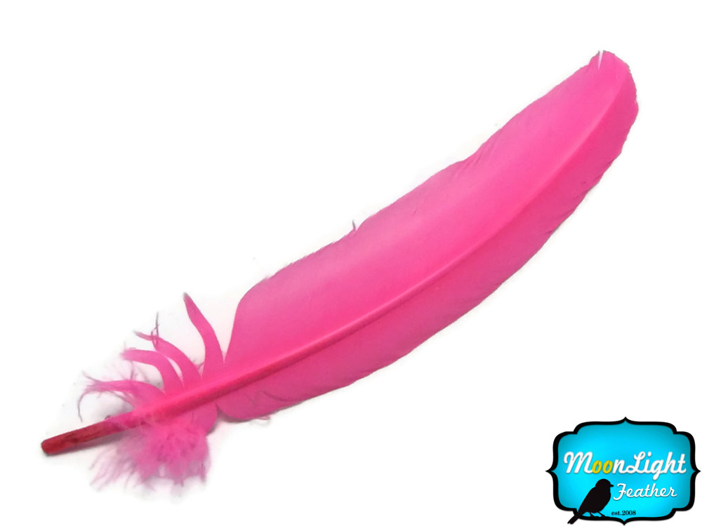 Quill Feathers 6 Pieces HOT PINK Turkey by MoonlightFeatherInc