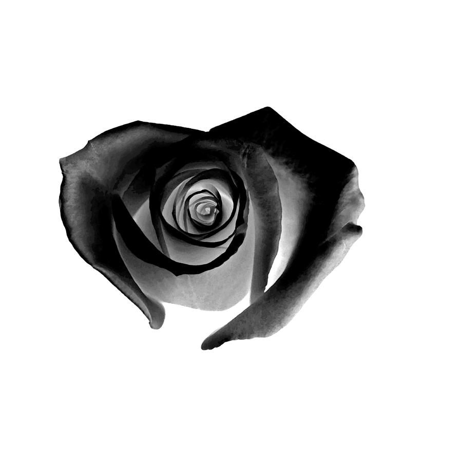 Black Heart-shaped Rose by Glennis Siverson